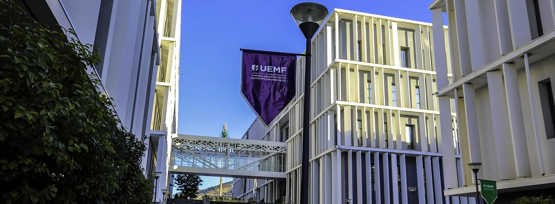 Candidature spontanée