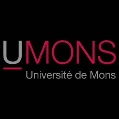 UNIVERSITY OF MONS