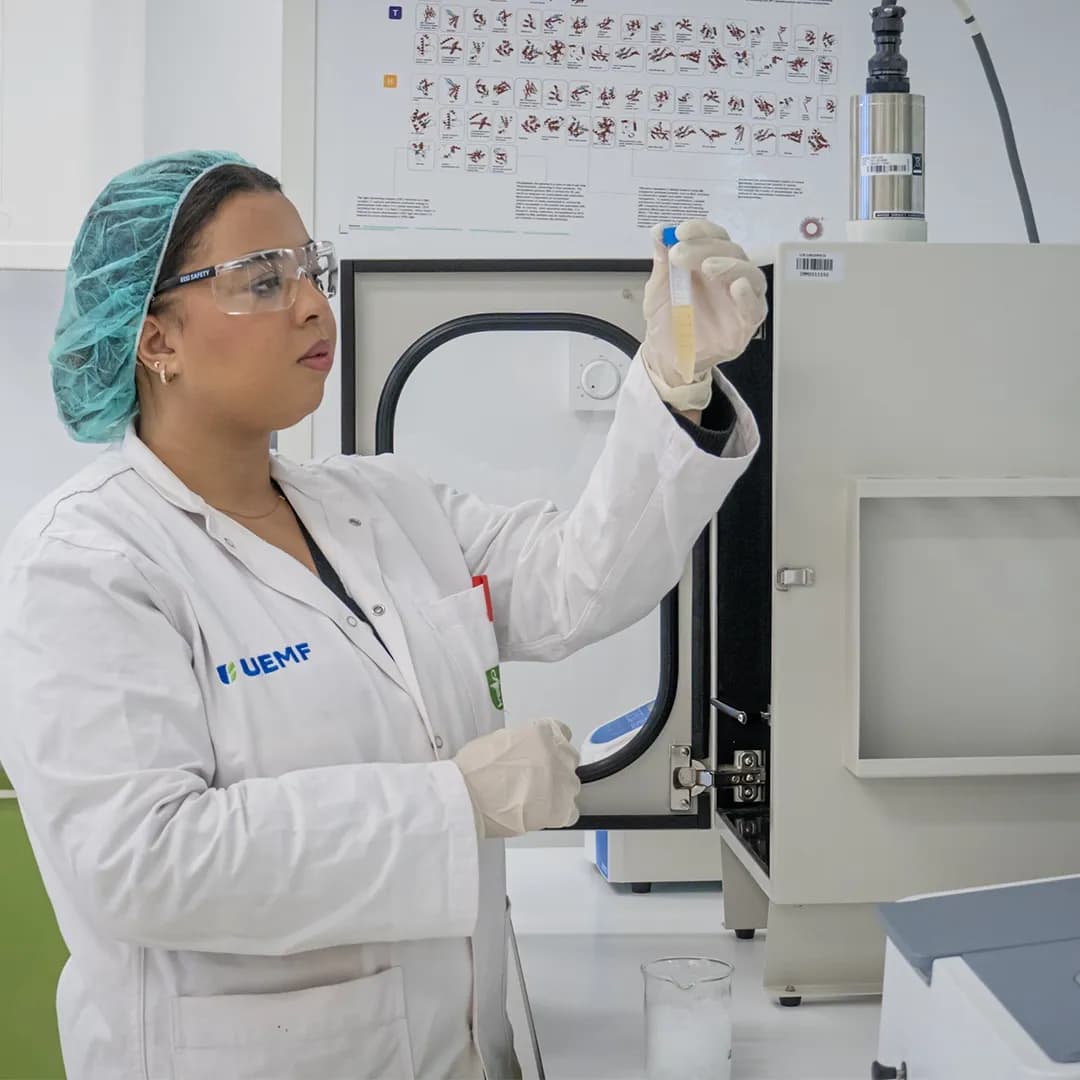 Ecole d'Ingénieur en Biomédical et en Biotechnologie