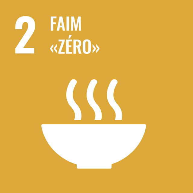 Rapport ODD 2 : Faim "Zéro"