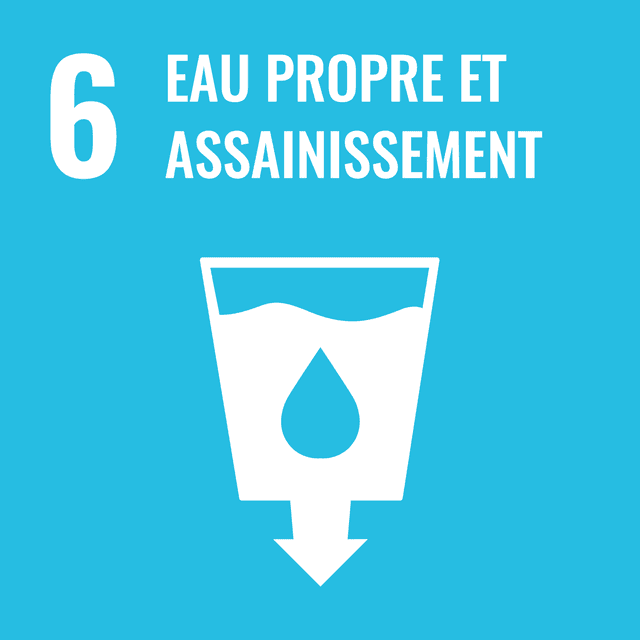 Rapport ODD 6 : Eau propre et assainissement (version 2024)